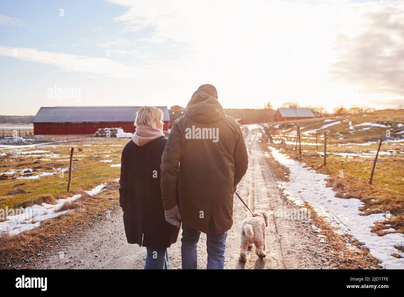 Couple walking with dog Stock Photo - Alamy