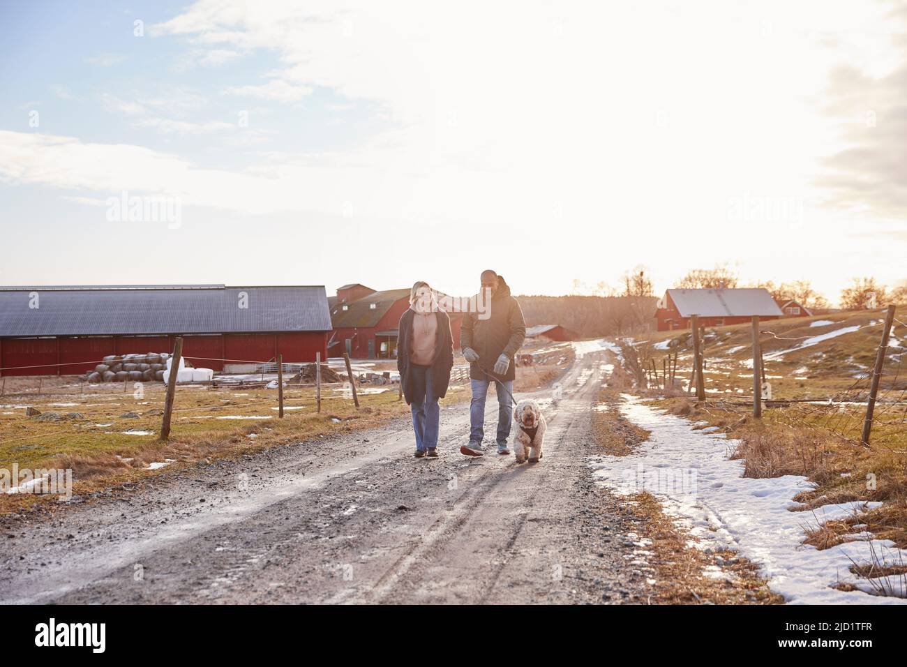 Couple walking with dog Stock Photo - Alamy