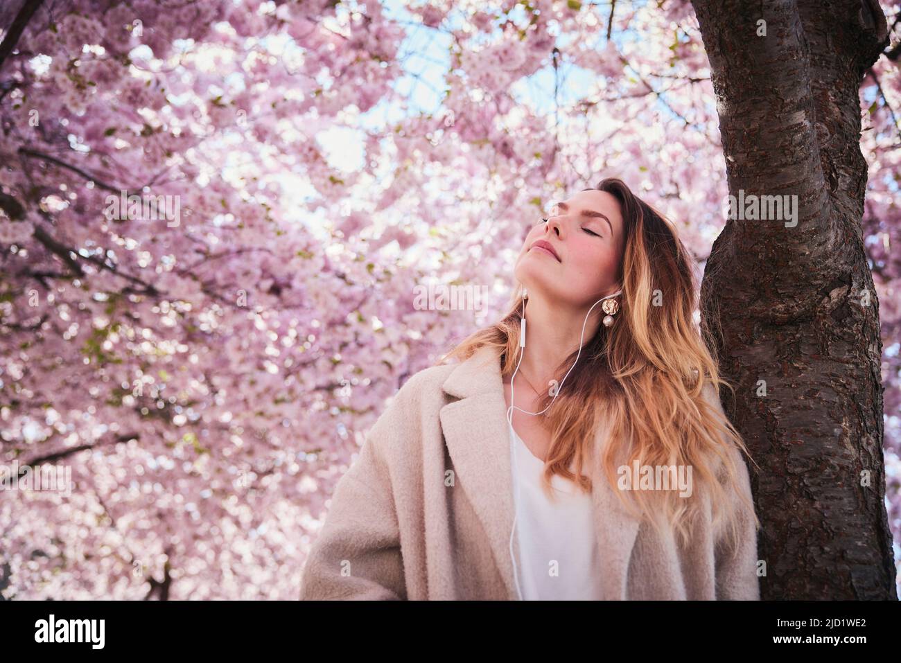 Young woman standing under cherry blossom Stock Photo - Alamy