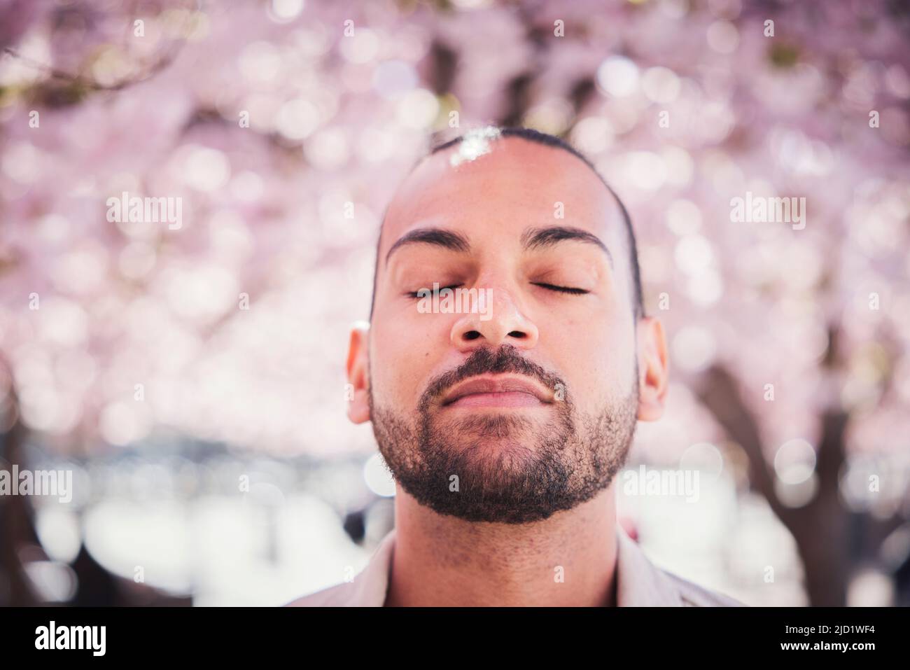 Young man standing under cherry blossom Stock Photo - Alamy