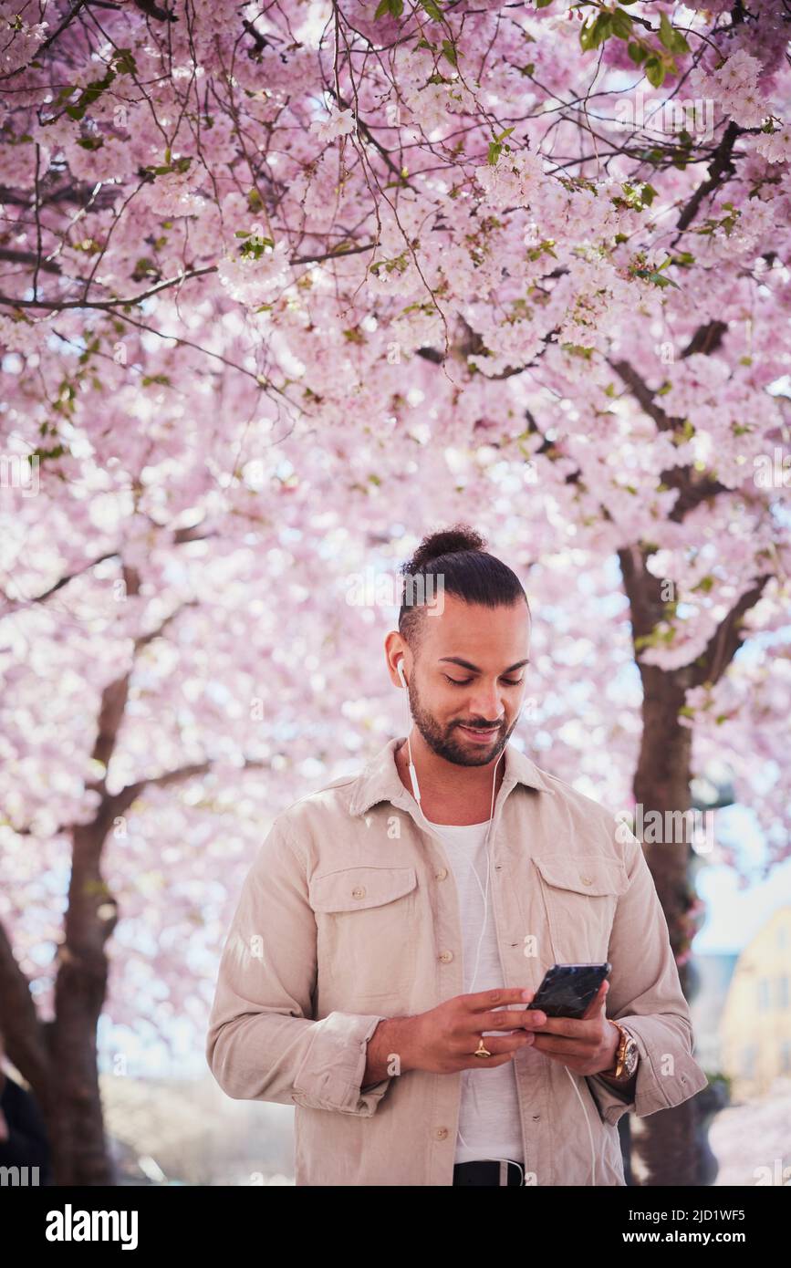 Young man standing under cherry blossom and using phone Stock Photo