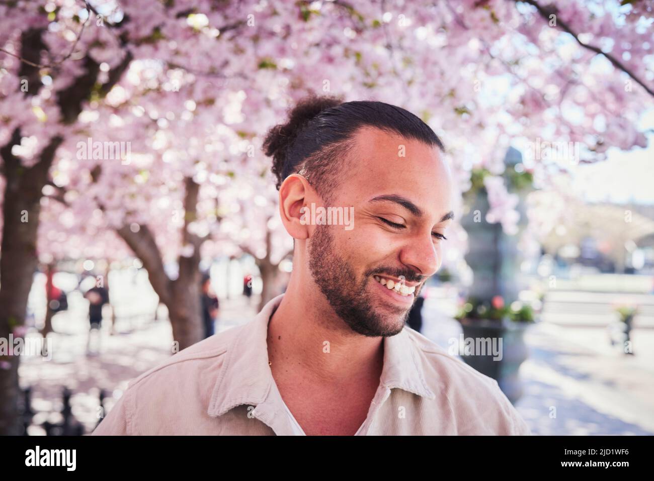 Smiling young man standing under cherry blossom Stock Photo - Alamy