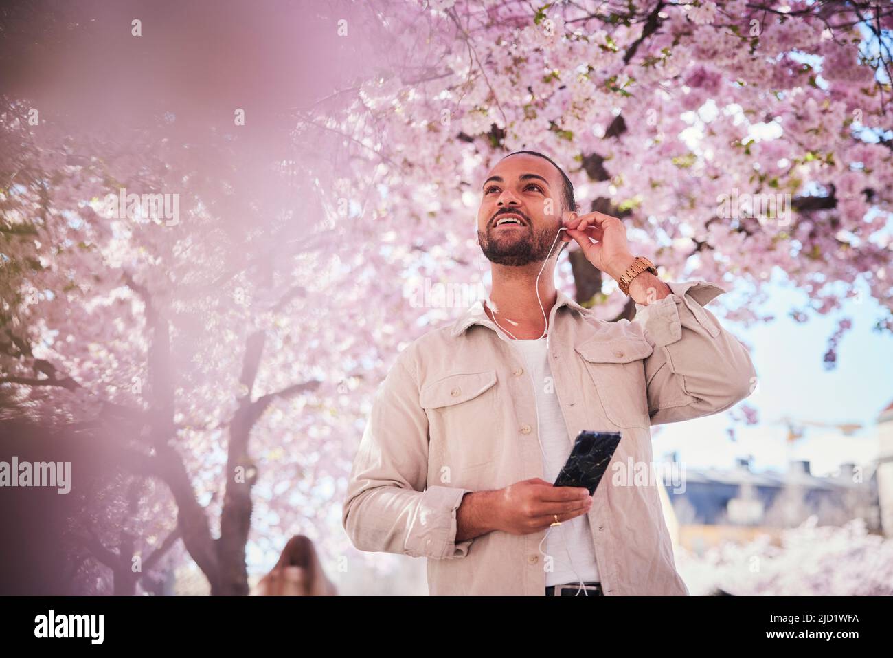 Young man standing under cherry blossom and using phone Stock Photo - Alamy