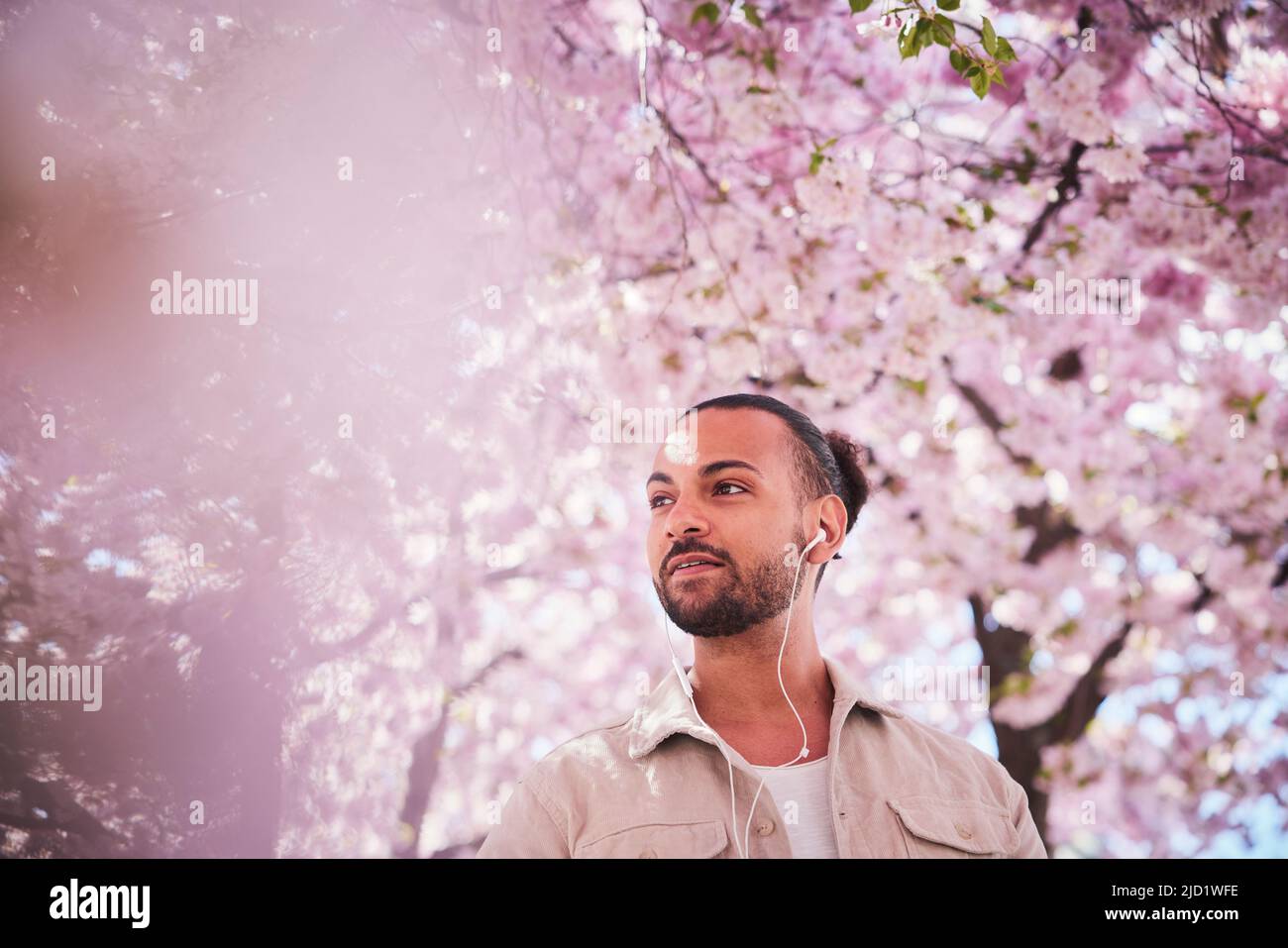 Young man standing under cherry blossom and listening to music Stock ...