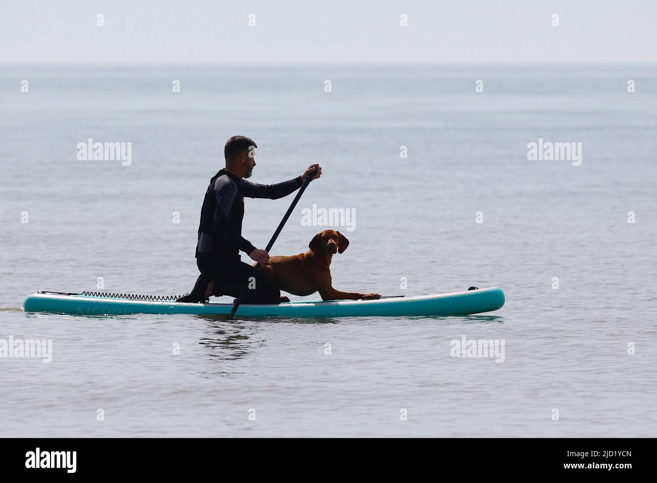 Hastings, East Sussex, UK. 17 Jun, 2022. UK Weather: Very hot and sunny at the seaside town of Hastings in East Sussex as Brits enjoy the very hot weather today that is expected to reach 34c in some parts of the UK. Paddle boarder and dog enjoy the gentle waves. Photo Credit: Paul Lawrenson /Alamy Live News Stock Photo