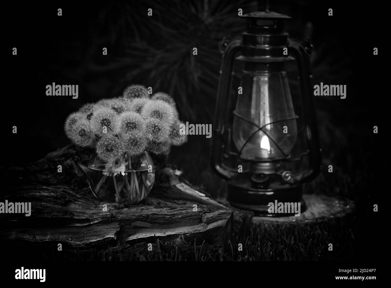 still life with dandelions and kerosene lamp Stock Photo