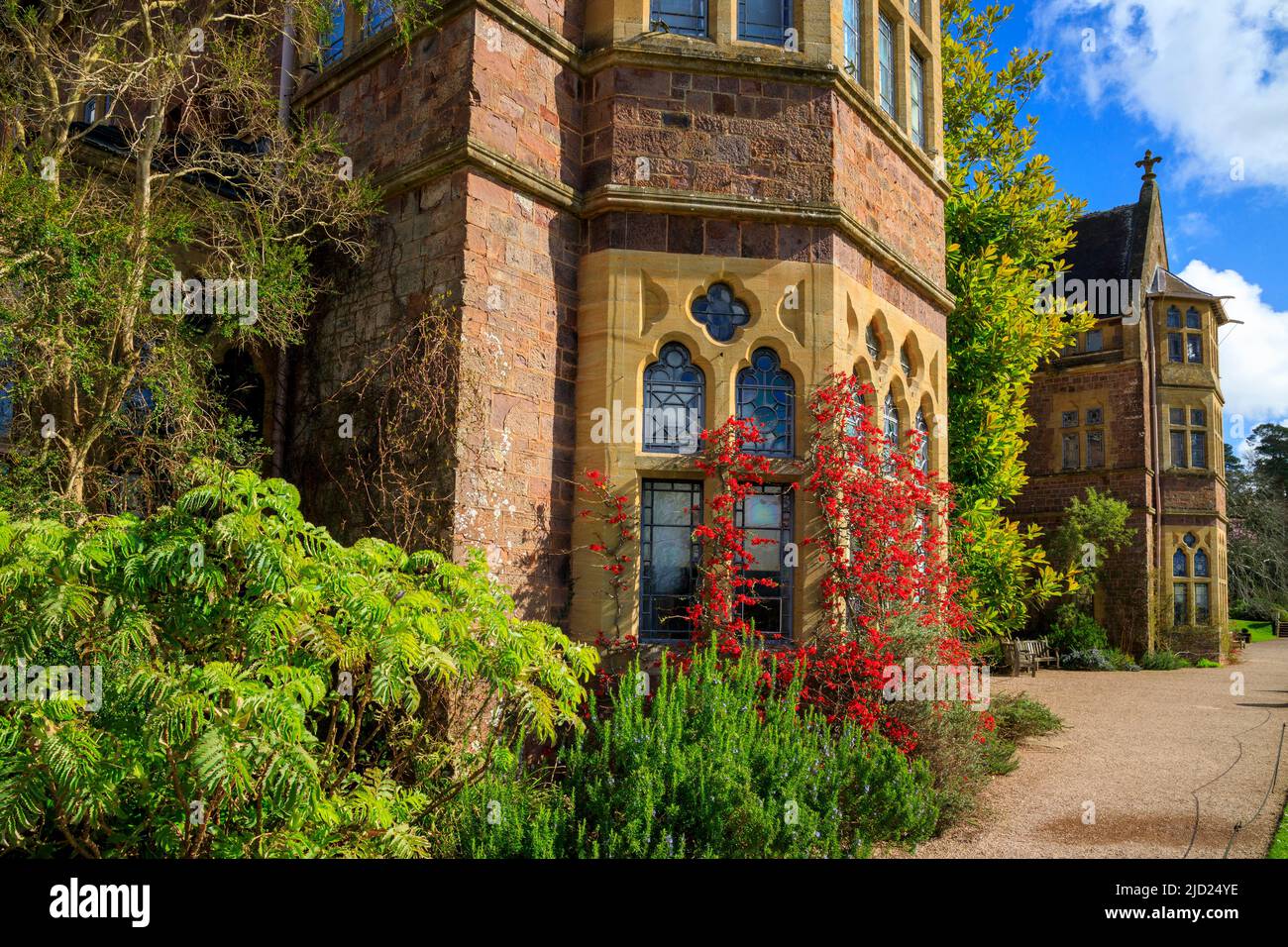 Detail of the Victorian Gothic architecture and a flowering quince shrub on the south front of Knightshayes Court, nr. Tiverton, Devon, England, UK Stock Photo