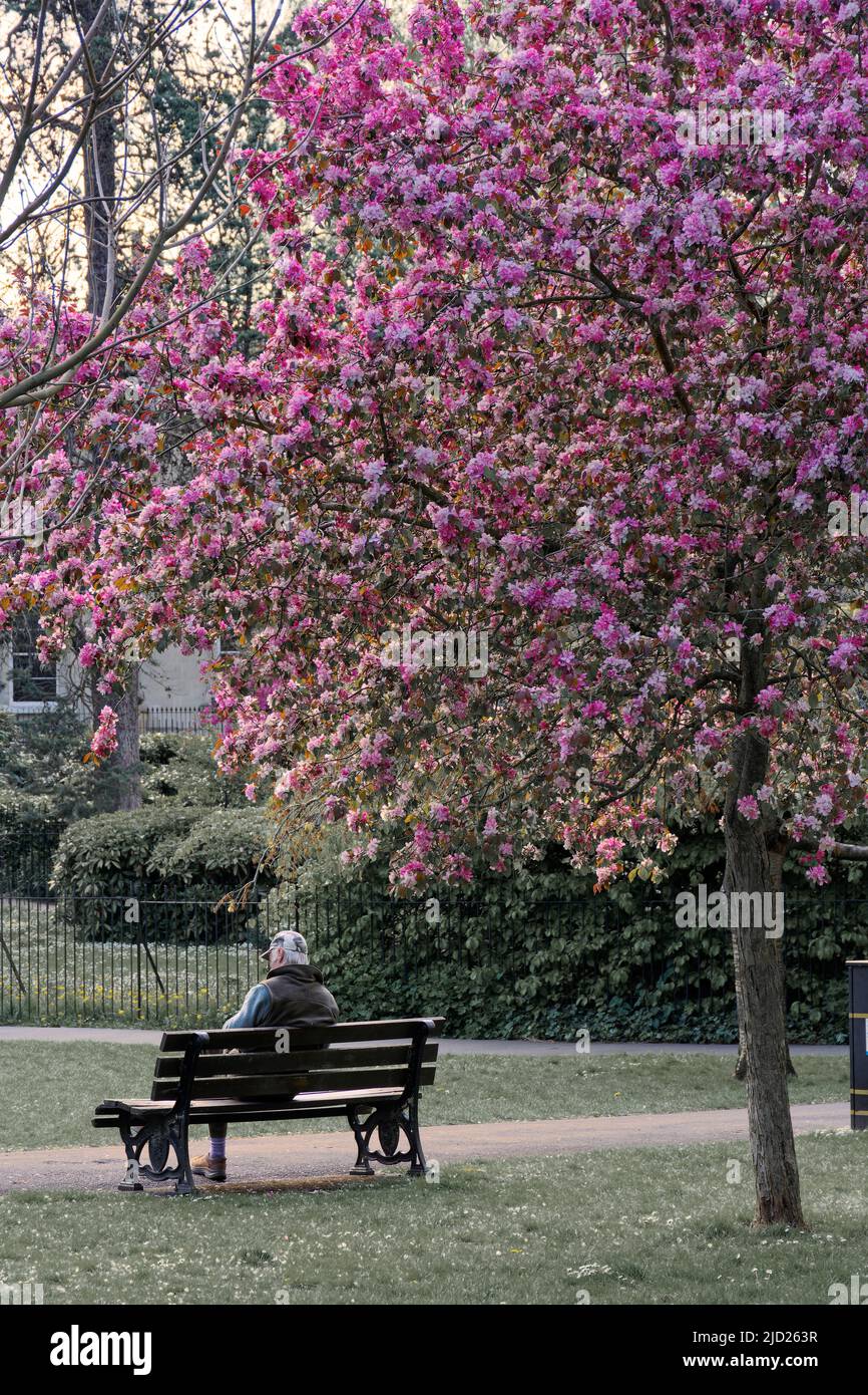 Spring in Bath Stock Photo - Alamy
