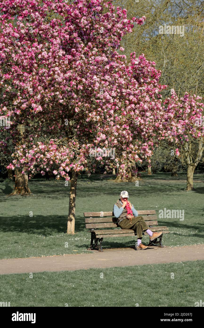 Spring in Bath Stock Photo - Alamy