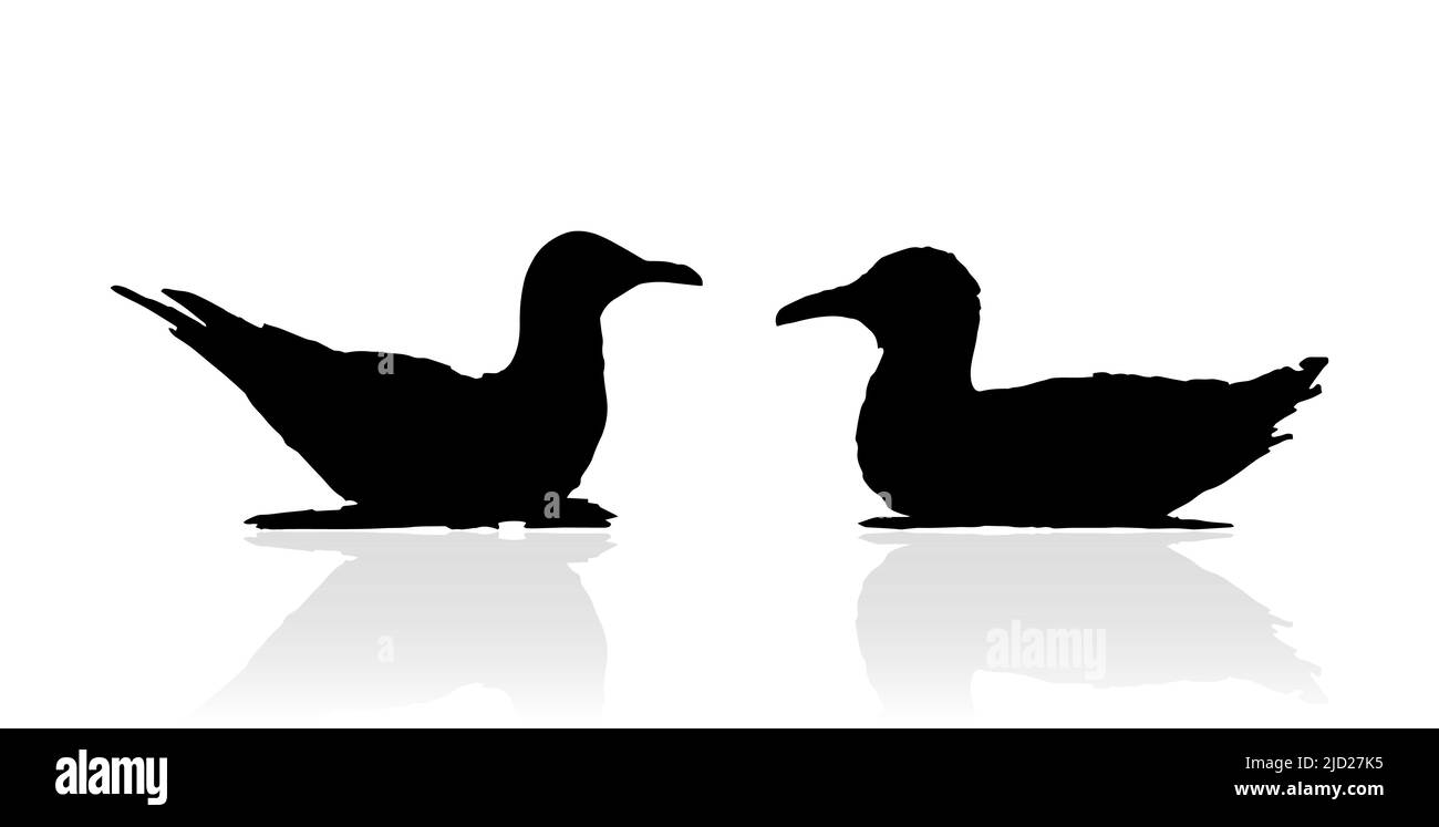 silhouettes of pair nesting seagulls Stock Vector