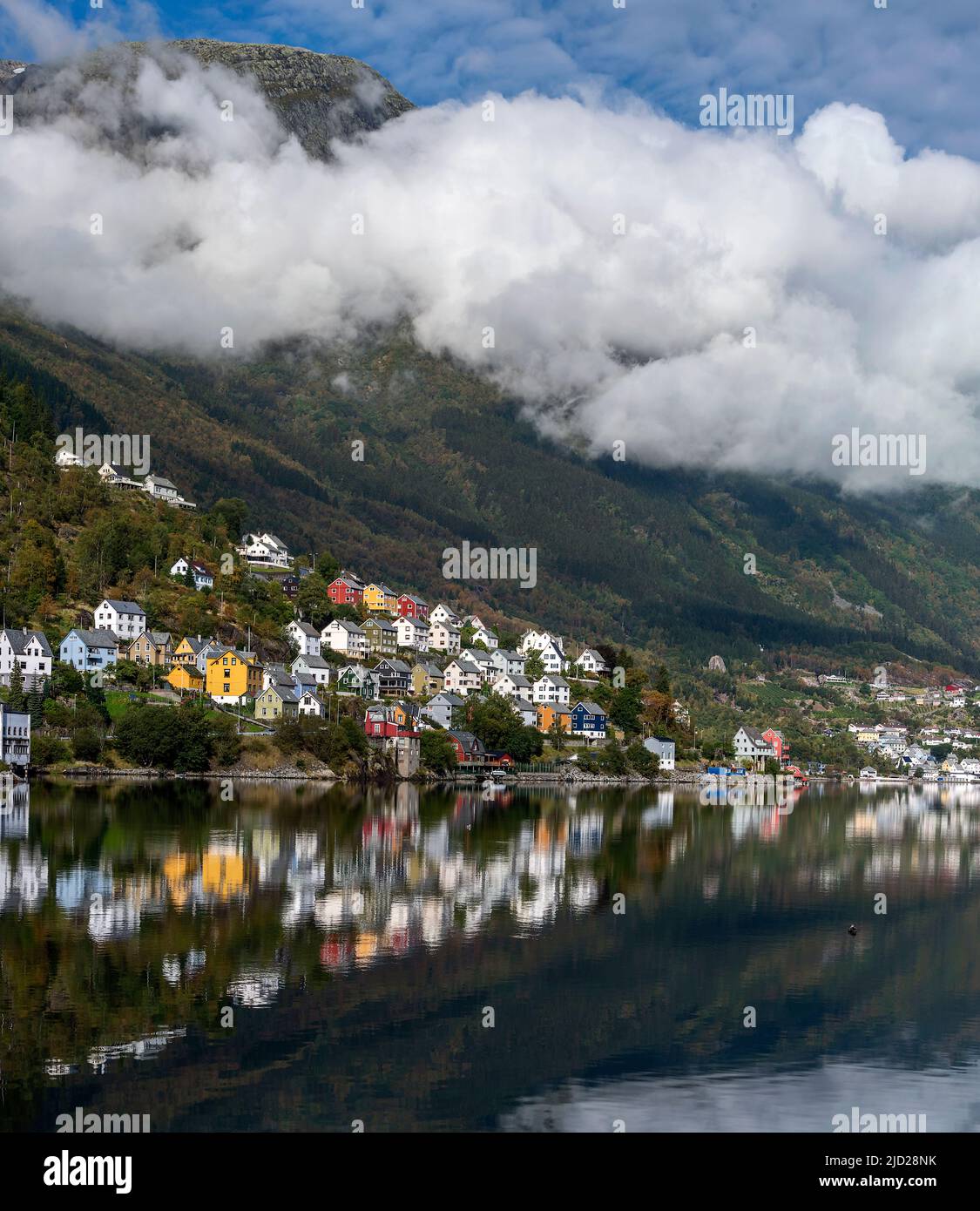 Traditional houses in the industrial town Odda at the bottom of