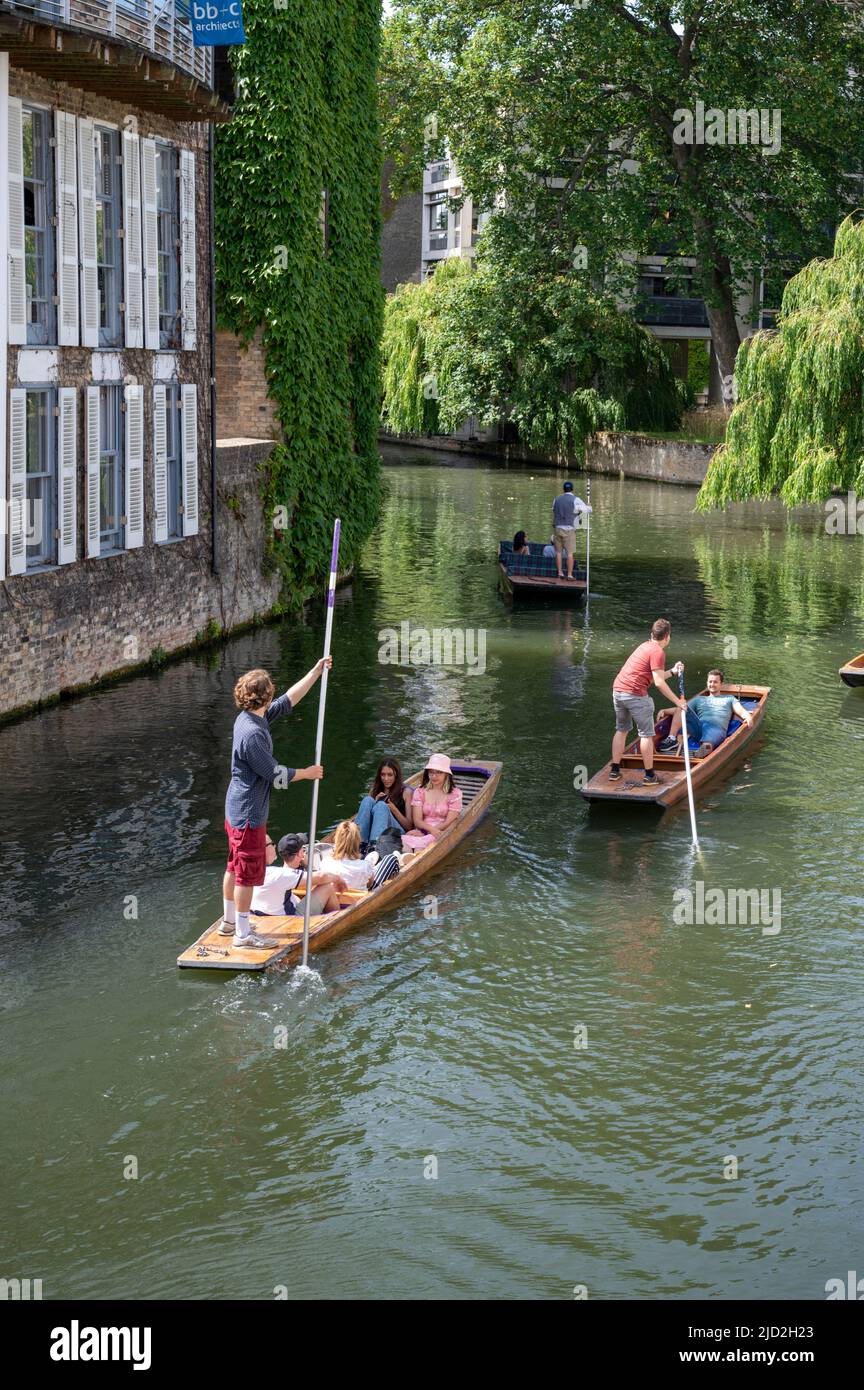 Cambridge, UK. 17th June, 2022. People enjoy the sunshine and hot weather punting on the River Cam. Today is expected to be the hottest day of the year in the UK so far and temperatures are expected to rise above 30c in the heatwave. Credit: Julian Eales/Alamy Live News Stock Photo