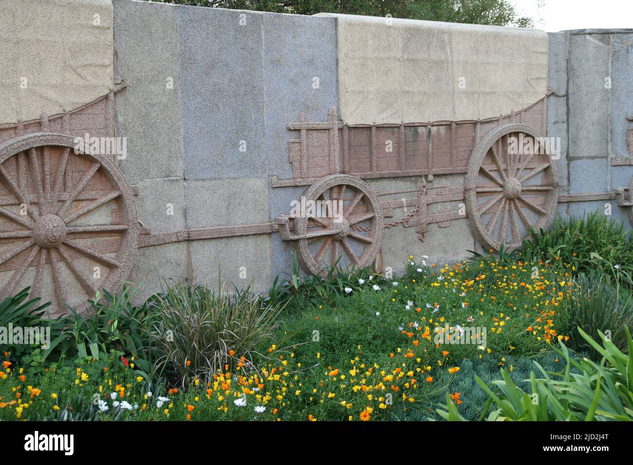 Namaqualand daisies with ox cart reliefs on wall, Voortrekker Monument Museum, Pretoria/Tshwane, Gauteng, South Africa. Stock Photo