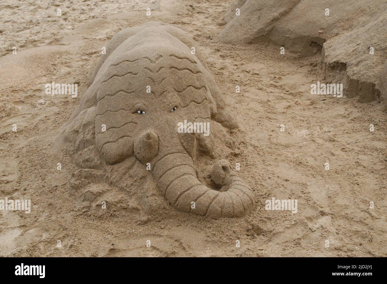 Sand sculpture of elephant head on beach sand, Umfolozi Beach, KwaZulu Natal, South Africa. Stock Photo