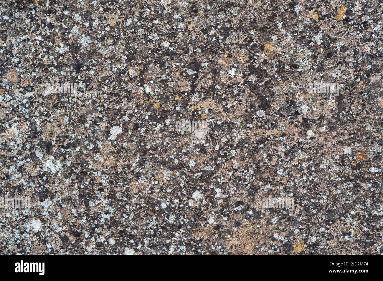background, texture - a wall of even stone blocks, covered with lichen from old age Stock Photo