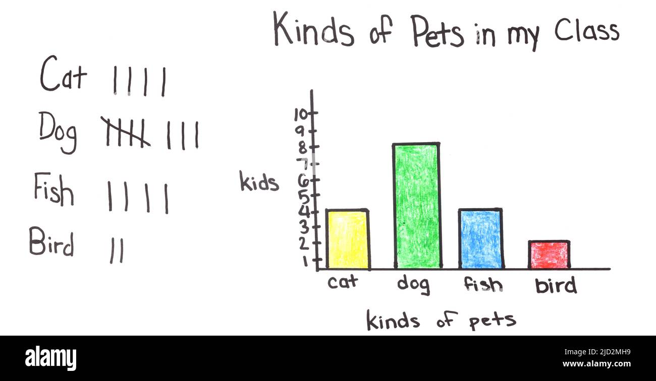 A bar chart displaying the data sets of four different kinds of pets that students have at home – cats, dogs, fish, birds. Stock Photo