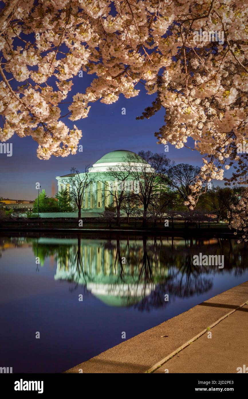 Pre-dawn twilight over the Jefferson Memorial and blossoming cherry trees, Washington, DC, USA Stock Photo