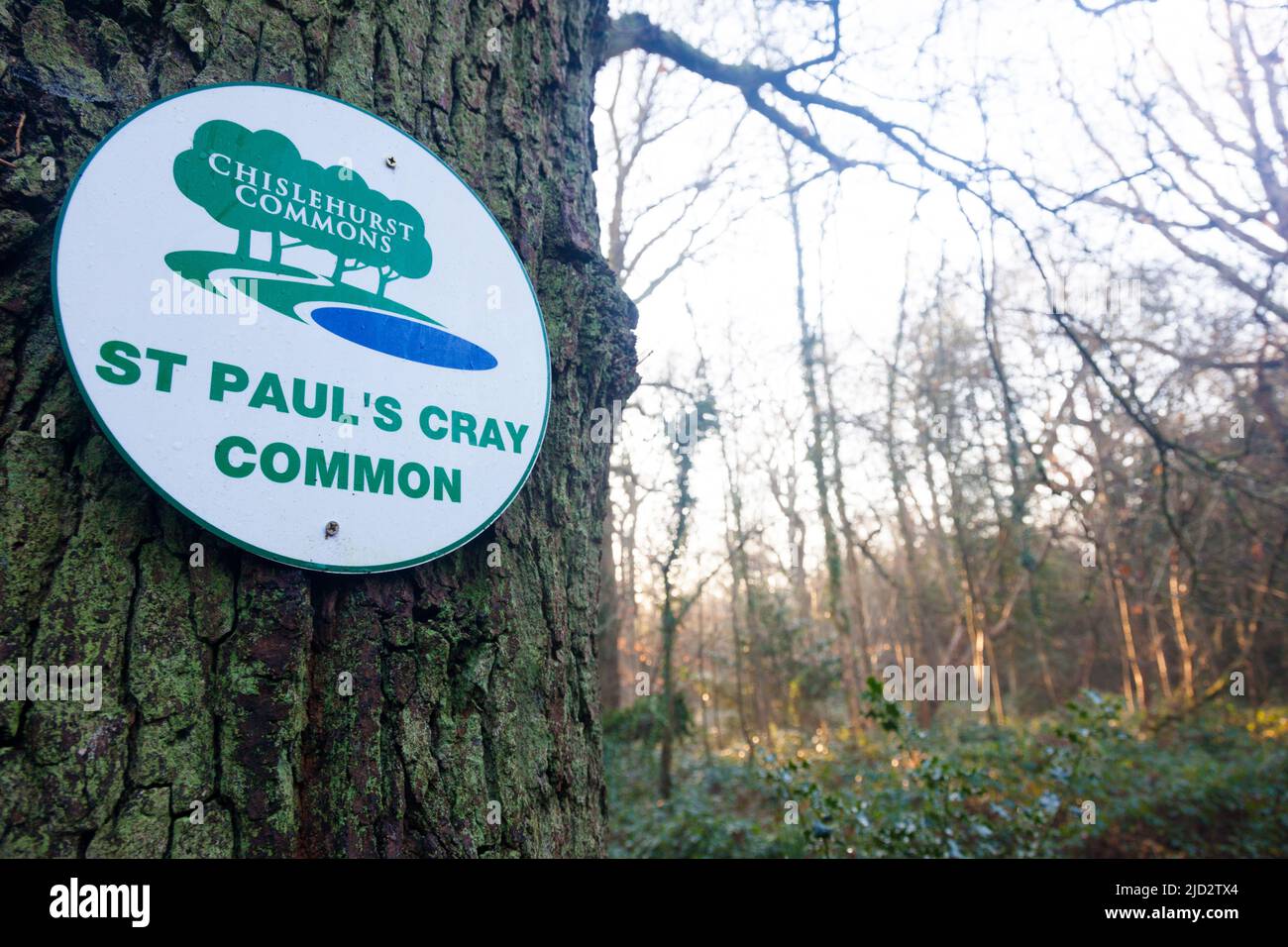 St Pauls Cray Common, Chislehurst, Kent, UK. In London Borough of Bromley, Southeast London. Stock Photo