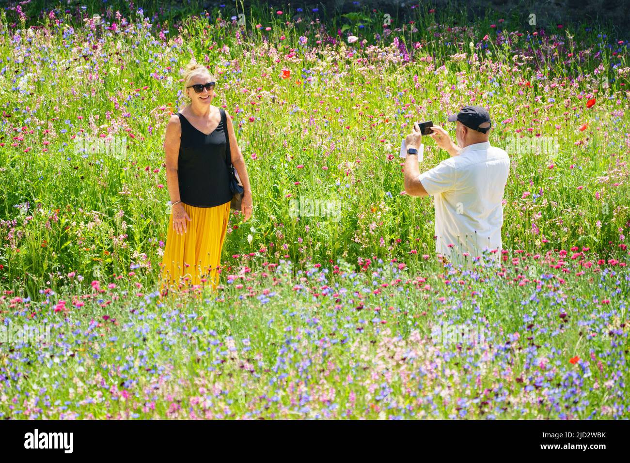 A woman poses for a photo among the flowers of the 'Superbloom