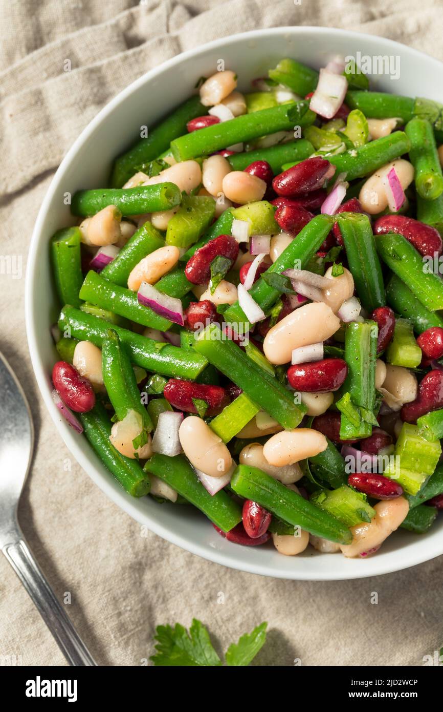 Homemade Organic Three Bean Salad with Green Kidney and Cannellini Stock Photo