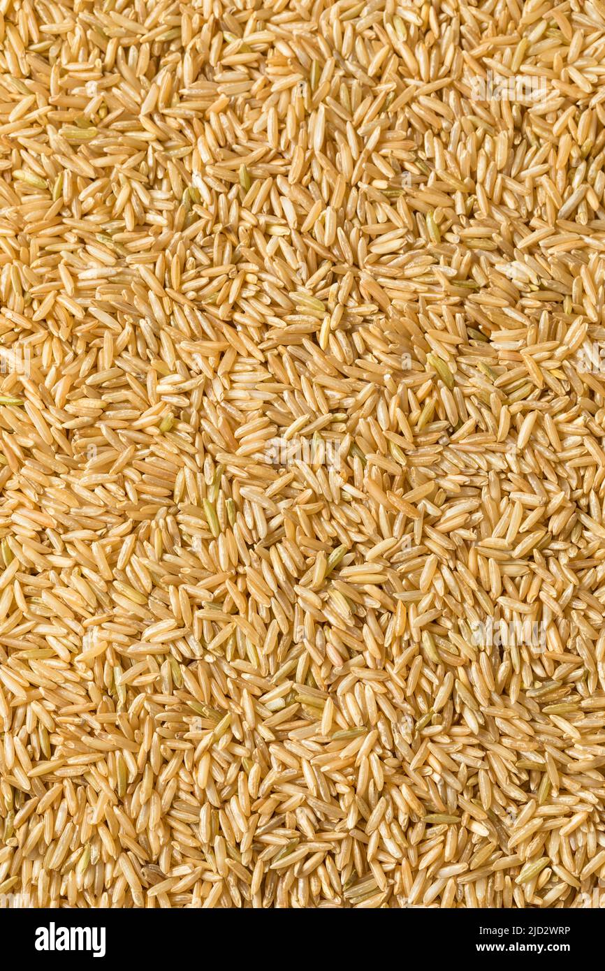 Raw Organic Dry Brown Rice Ready to Cook Stock Photo Alamy