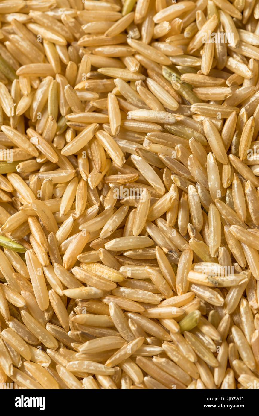 Raw Organic Dry Brown Rice Ready to Cook Stock Photo