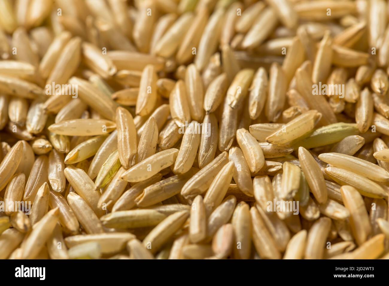 Raw Organic Dry Brown Rice Ready to Cook Stock Photo Alamy