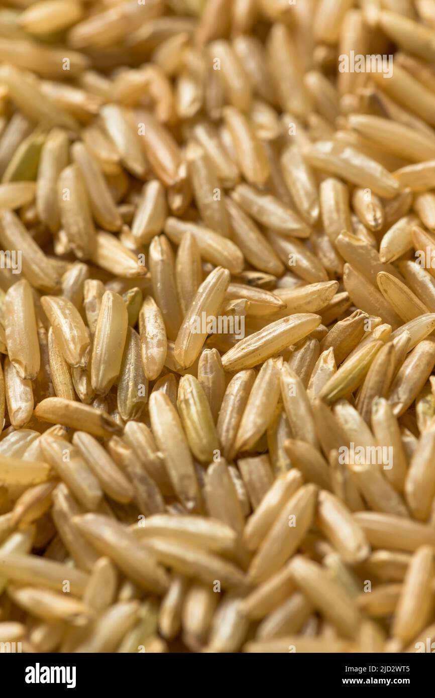 Raw Organic Dry Brown Rice Ready to Cook Stock Photo Alamy