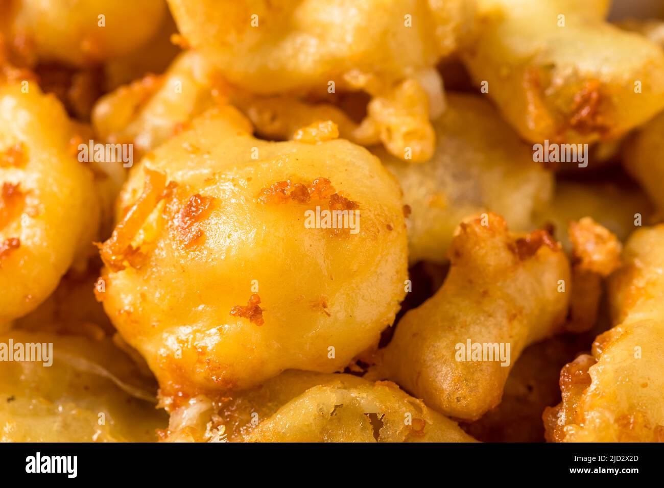 Homemade Deep Fried Wisconsin Cheese Curds with Dipping Sauce Stock