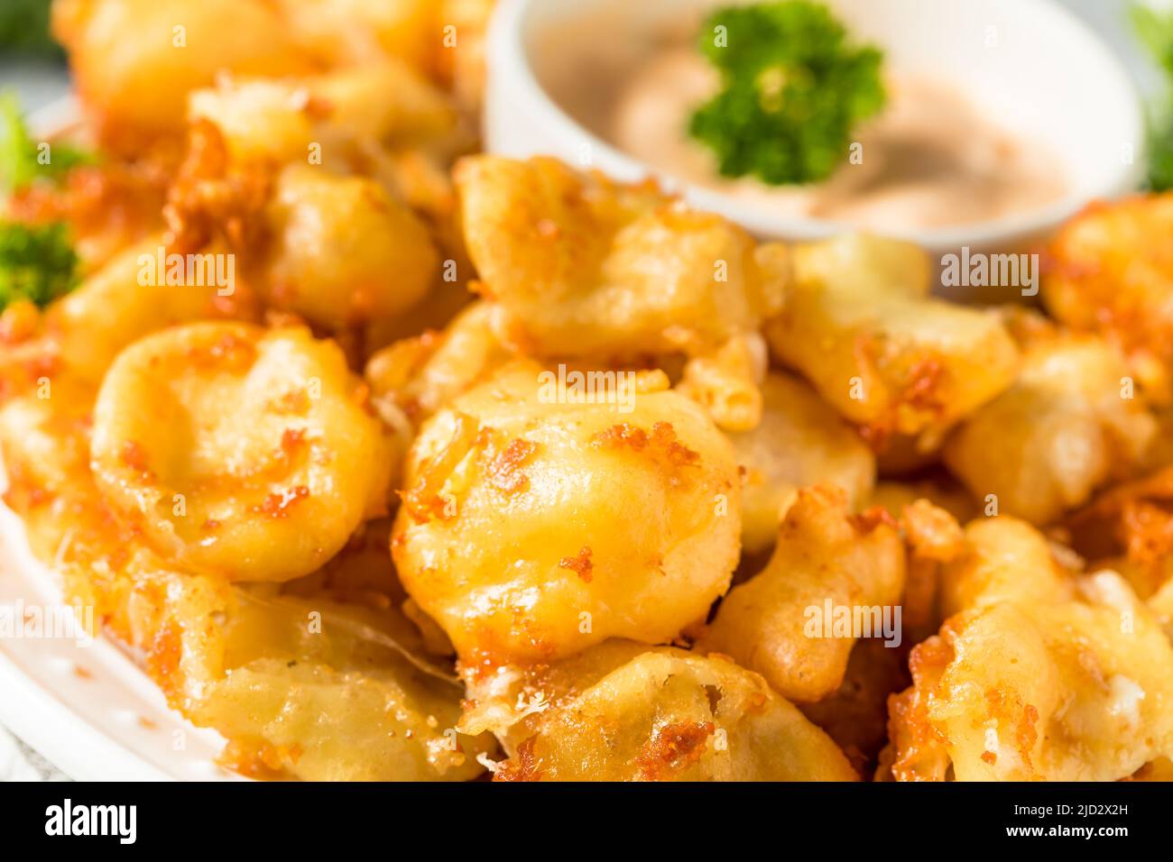 Homemade Deep Fried Wisconsin Cheese Curds with Dipping Sauce Stock