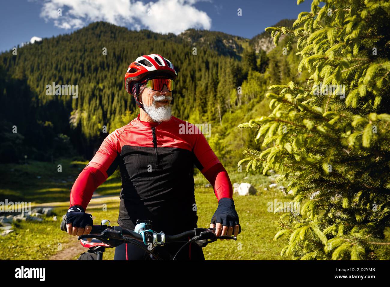 Portrait of Old cyclist with white beard holding handle bar of mountain bike in the green spruce forest in red costume in Almaty, Kazakhstan. Extreme Stock Photo