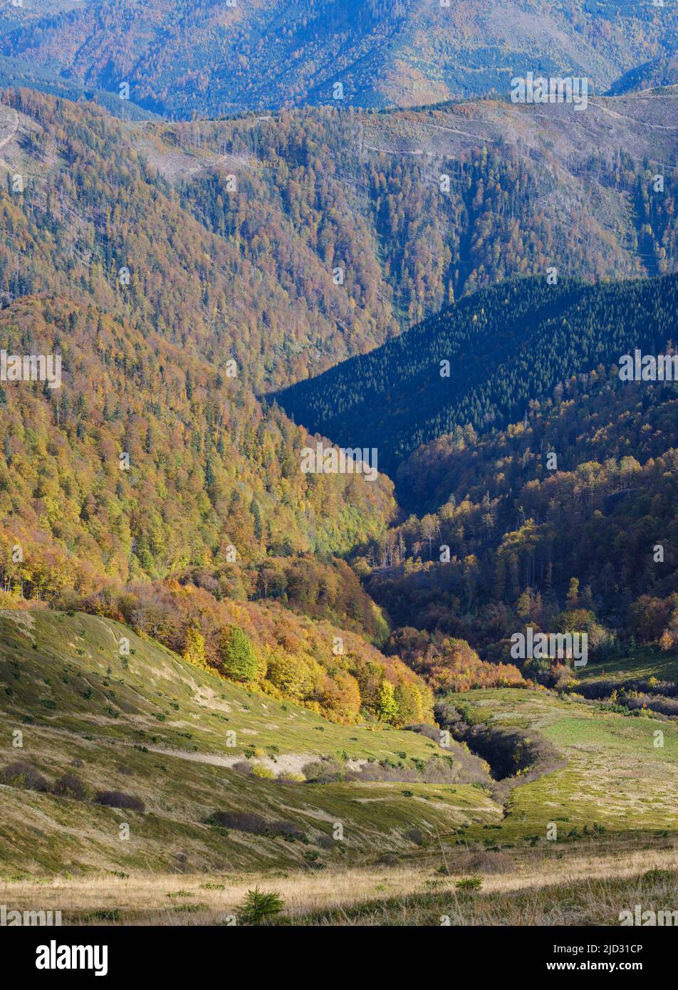 Autumn morning Carpathian Mountains calm picturesque scene, Ukraine. Stock Photo