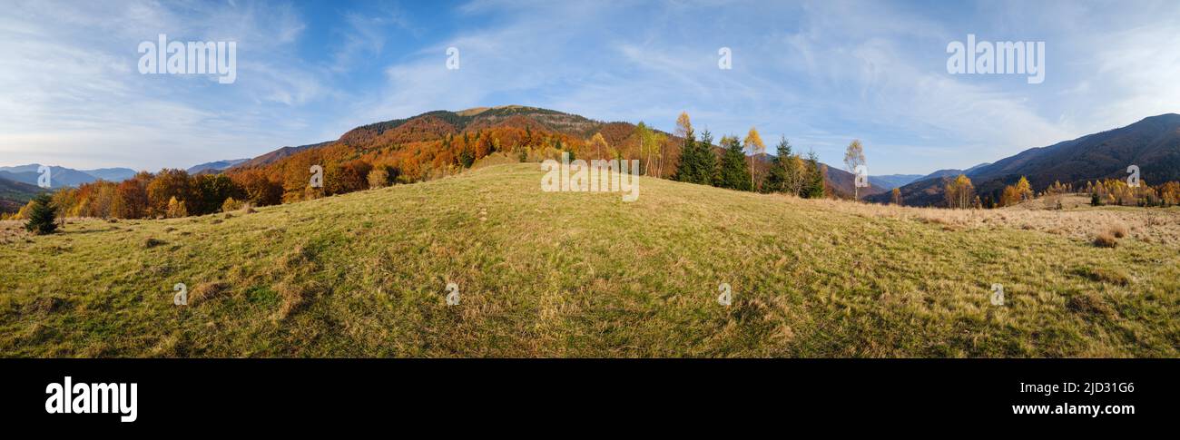 Autumn morning Carpathian Mountains calm picturesque scene, Ukraine. Peaceful traveling, seasonal, nature and countryside beauty concept scene. Stock Photo
