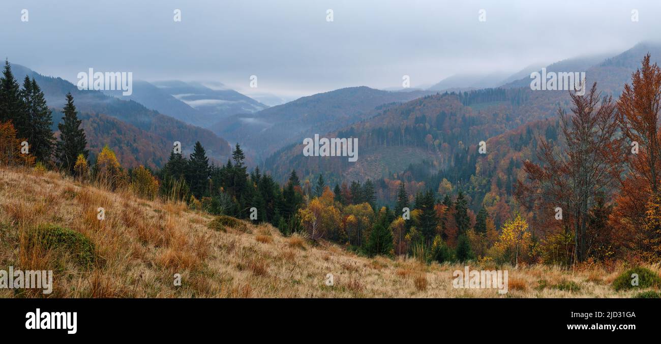 Cloudy and foggy early morning autumn mountains scene. Peaceful picturesque traveling, seasonal, nature and countryside beauty concept scene. Carpathi Stock Photo