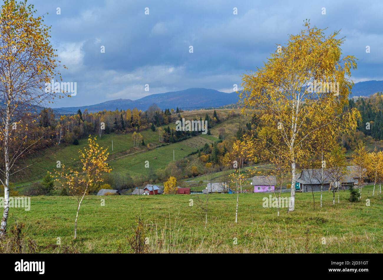Cloudy and foggy autumn mountain countryside scene. Carpathians, Ukraine. Peaceful picturesque traveling, seasonal, nature and countryside beauty conc Stock Photo