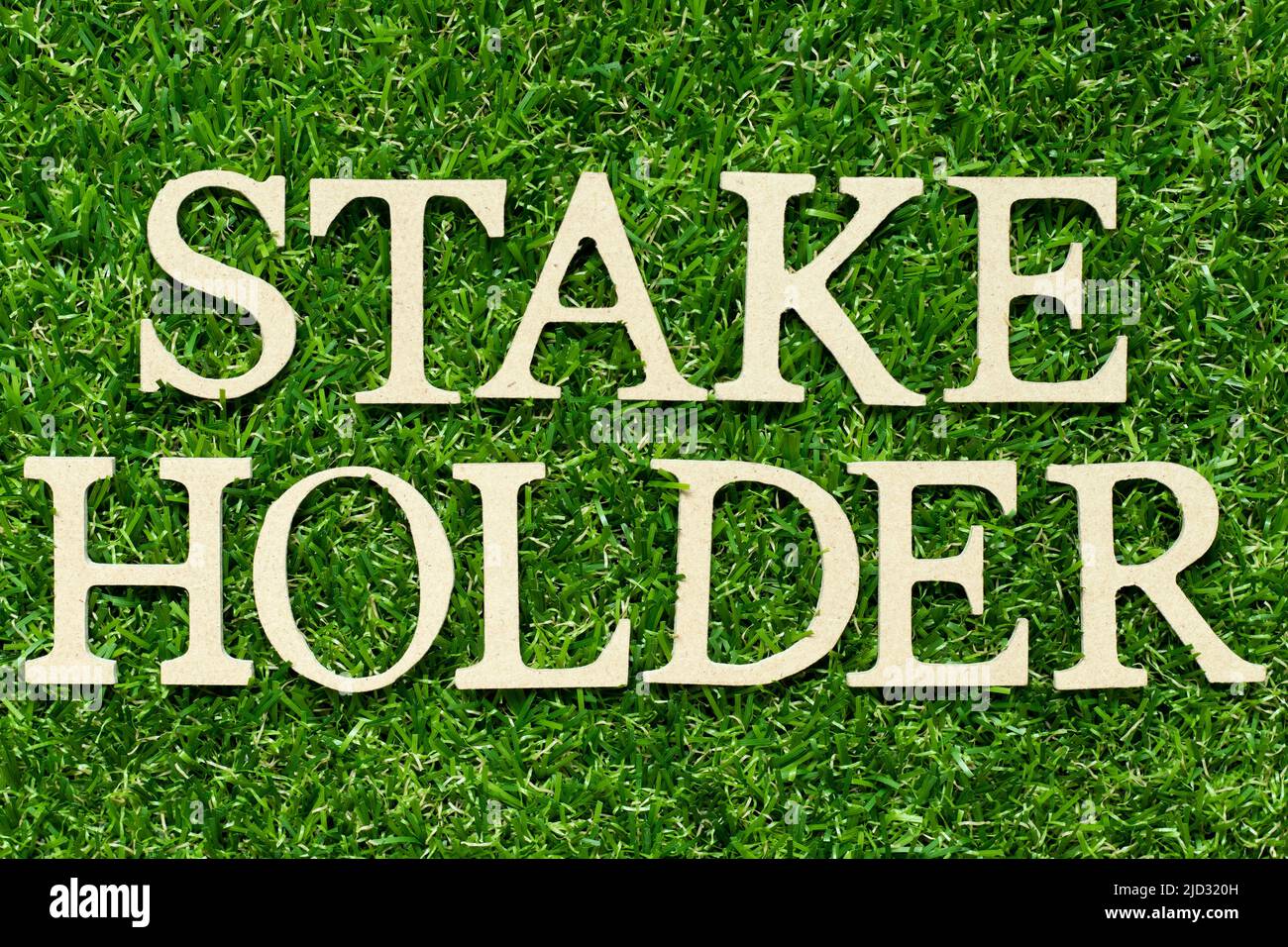 Wood letter in word stakeholder on green grass background Stock Photo
