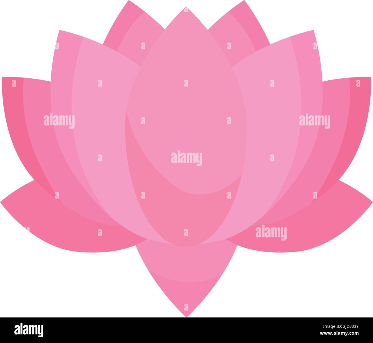 pink lotus flower Stock Vector Image & Art - Alamy