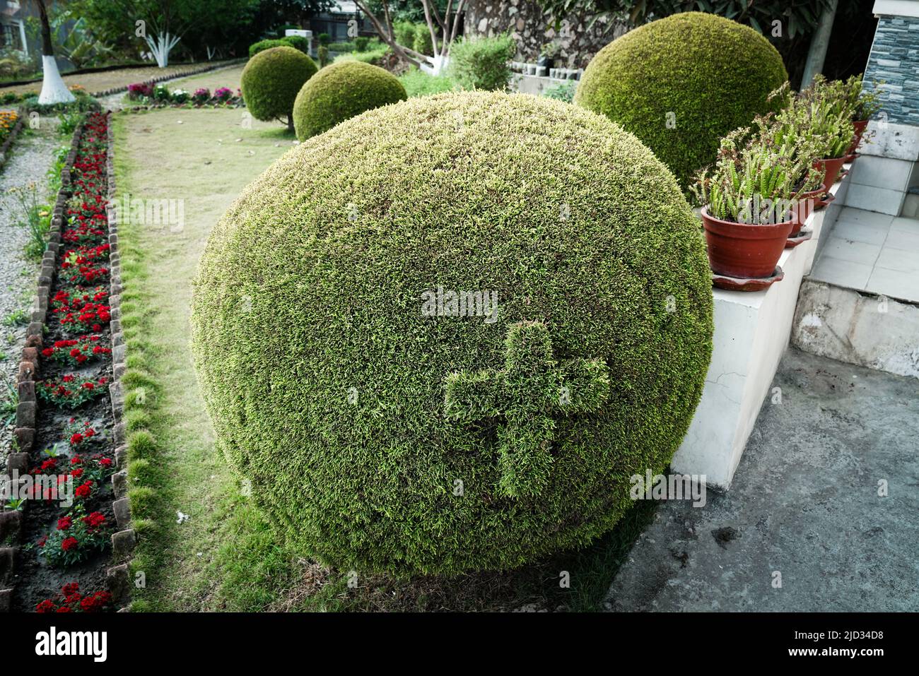 Cross in a boxwood ball in a garden in Kathmandu, Nepal   ---   Kreuz in einer Buchsbaumkugel in einem Garten in Kathmandu, Nepal Stock Photo