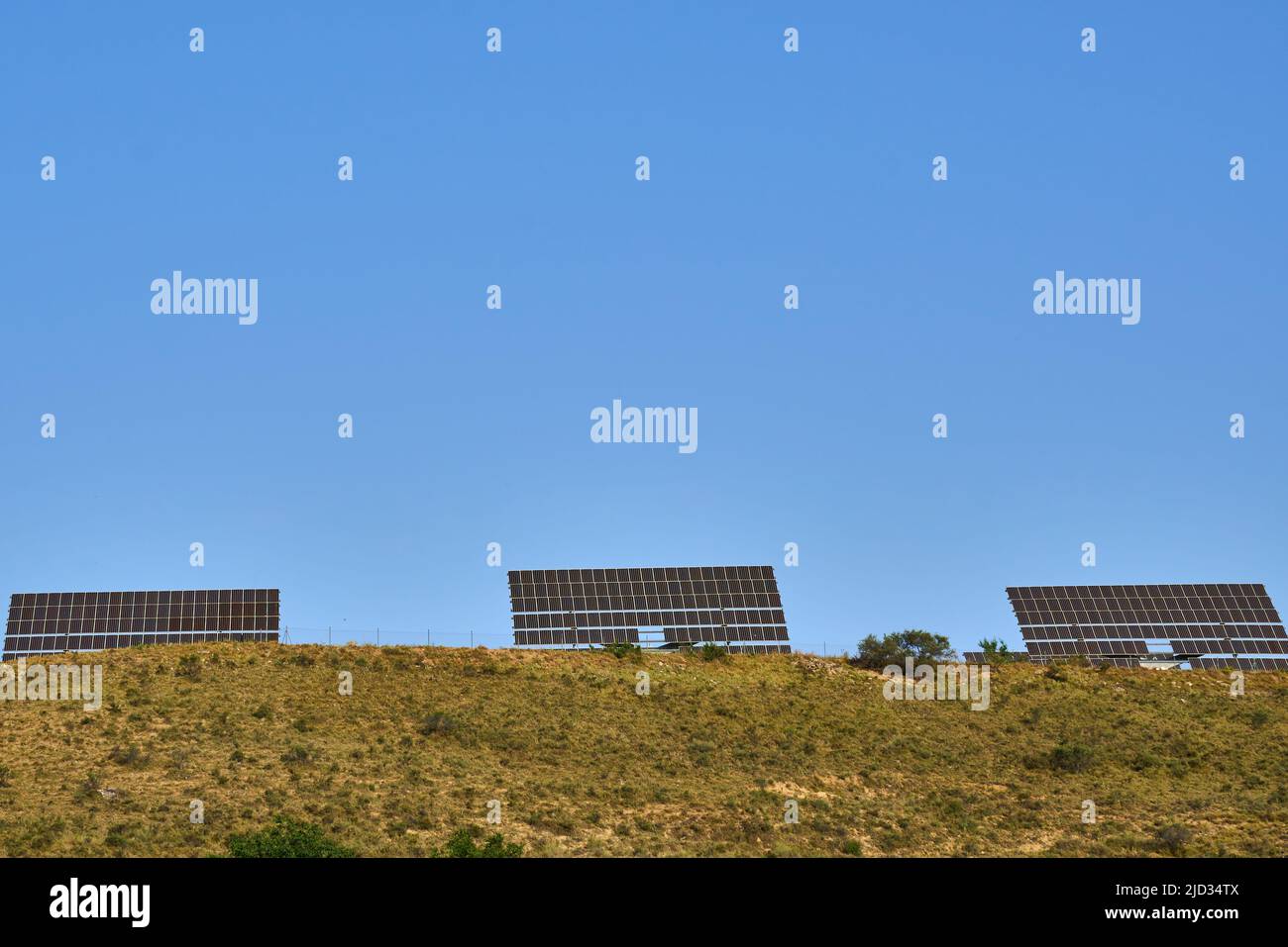 Field or orchard of solar panels to collect solar energy. High quality photo Stock Photo