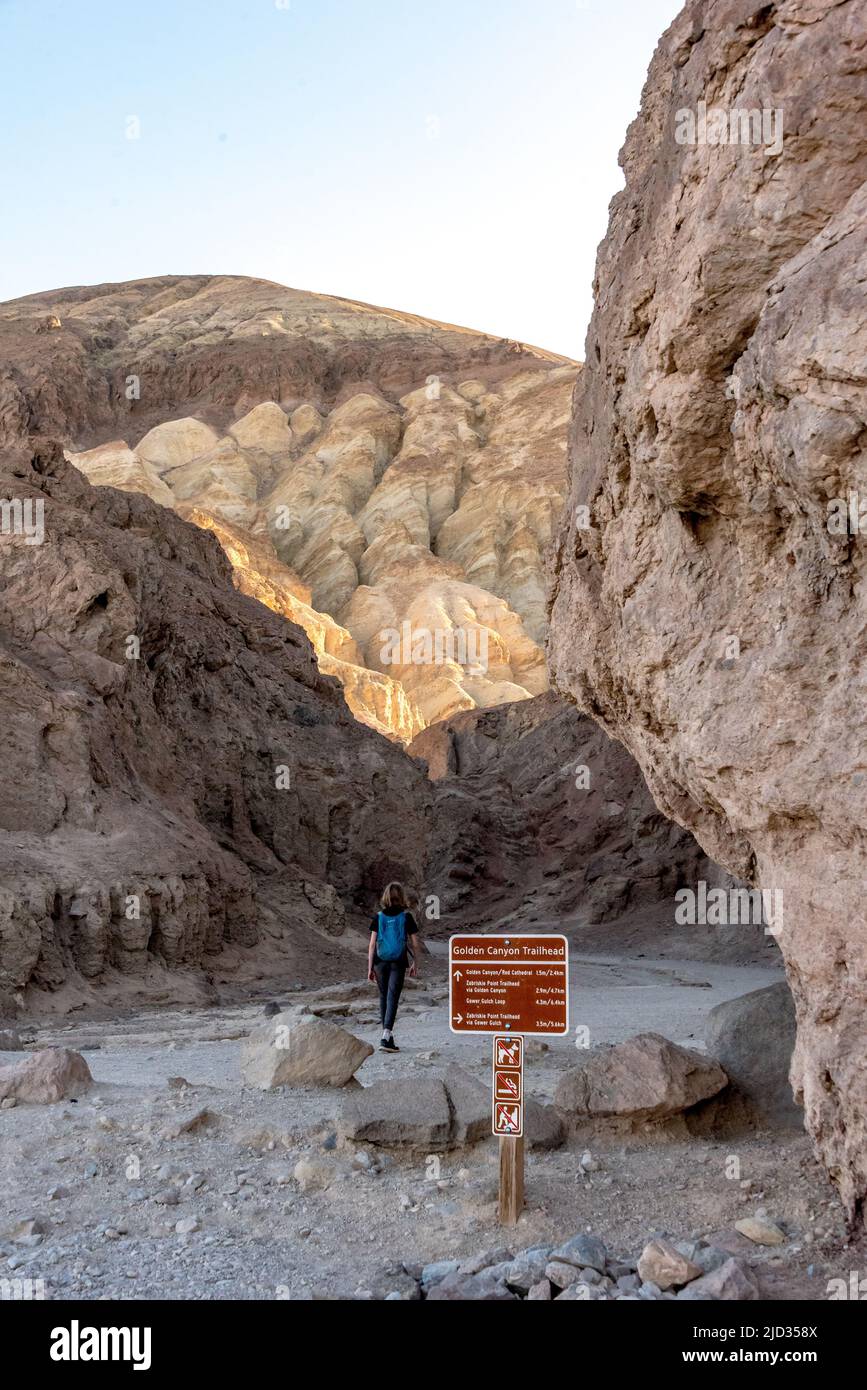 A young kid hiker entering Golden Canyon at trailhead sign in Death Valley National Park, a popular trail for day hikes to Red Cathedral and Zabriskie. Stock Photo