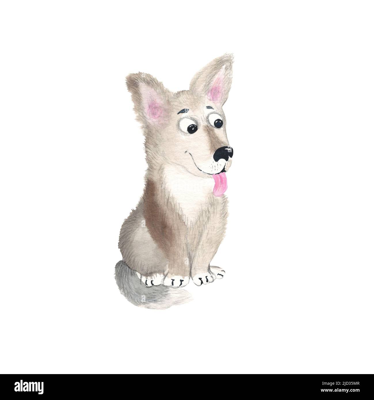 Cute puppy isolated on white background. Watercolor hand drawn ...