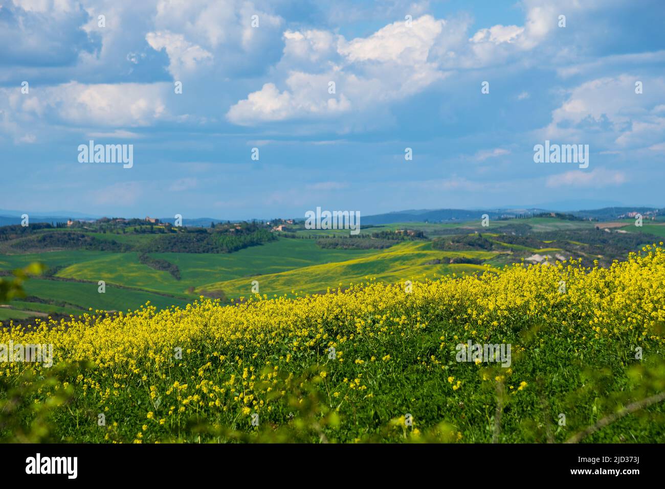 Tuscany, Italy. Val d'Orcia scenic hill landscape under beautiful cloudscape Stock Photo