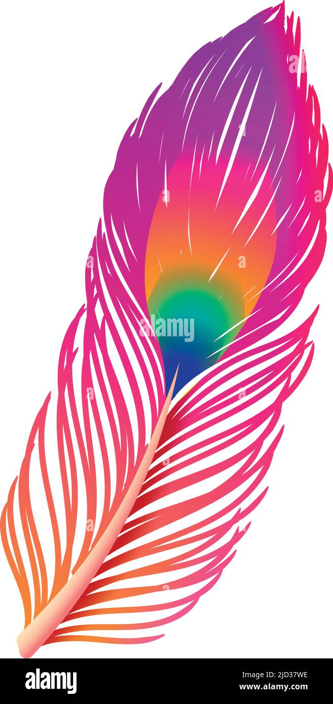 Peacock tail feather. Colorful bird wing quill Stock Vector