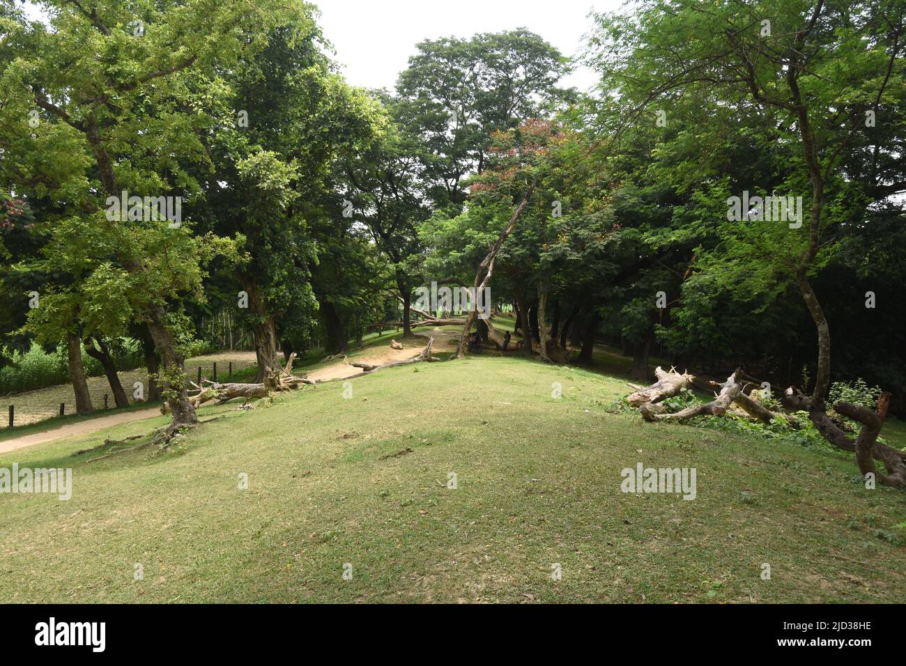 Chandraketu hi-res stock photography and images - Alamy