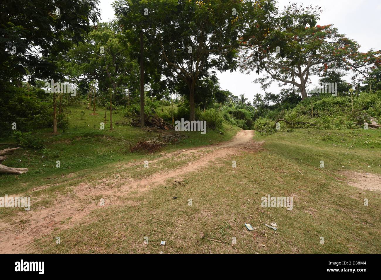 Chandraketu hi-res stock photography and images - Alamy