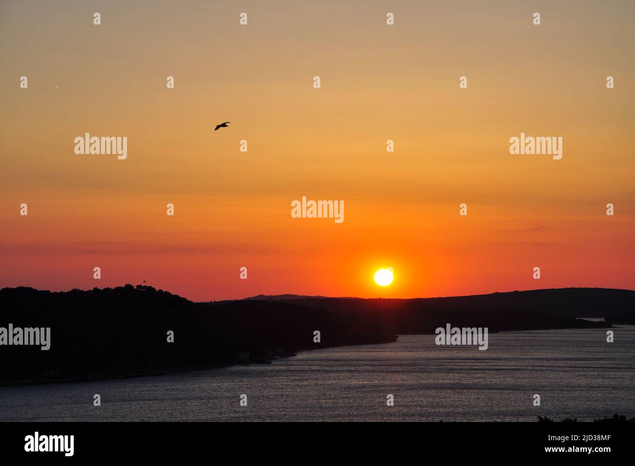 Red Sunset seagull silhouettes. Seagull in sunset sky. Flying seagulls over the sea at sunset. Seagulls at sea . Birds flying back home at sunset. Stock Photo