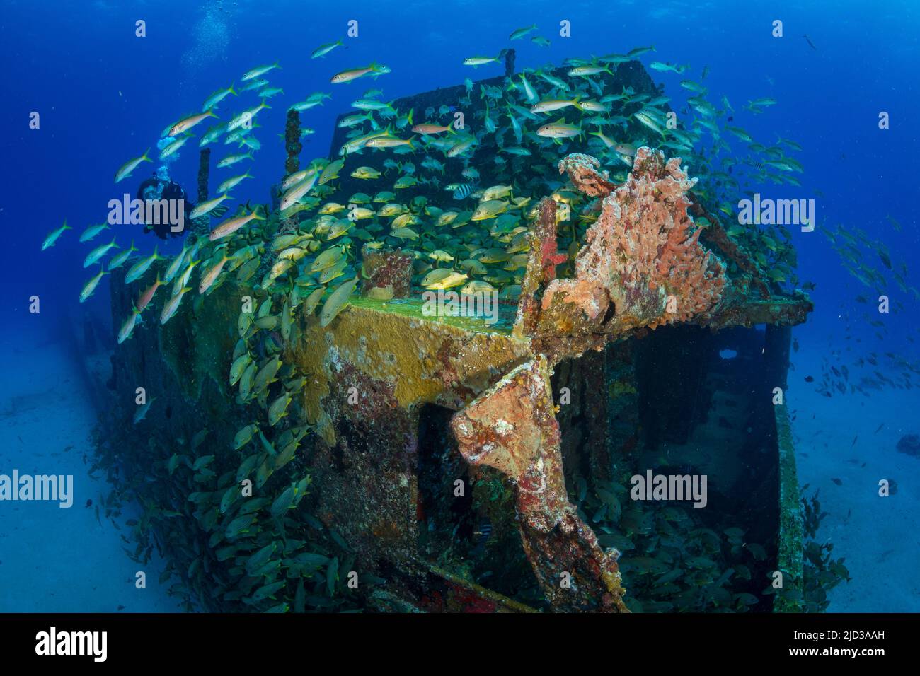 Caribbean crab wreck hi-res stock photography and images - Alamy