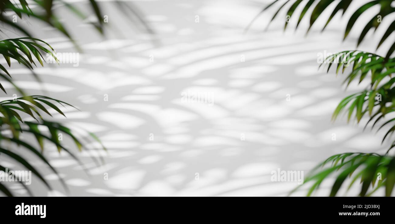 Abstract background, green leaves with tropic palm tree shadows. 3d render, digitally generated backdrop with copy space Stock Photo