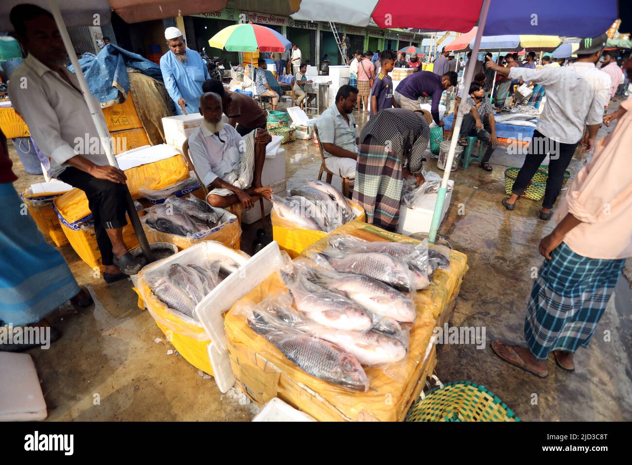 Wholesale fish suppliers near cheap me