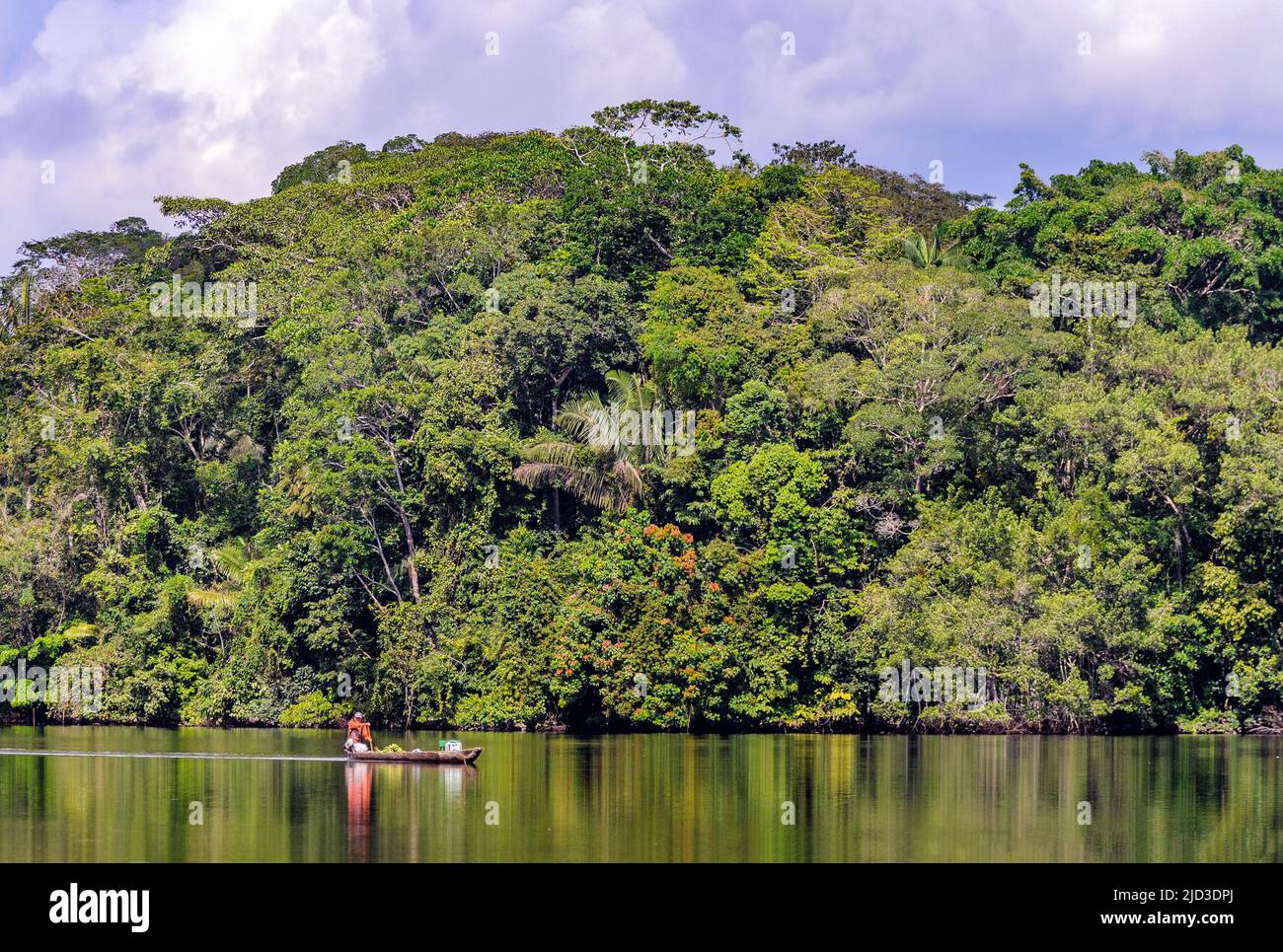 The rainforest at Garzacocha lake, La Selva, Ecuador Stock Photo